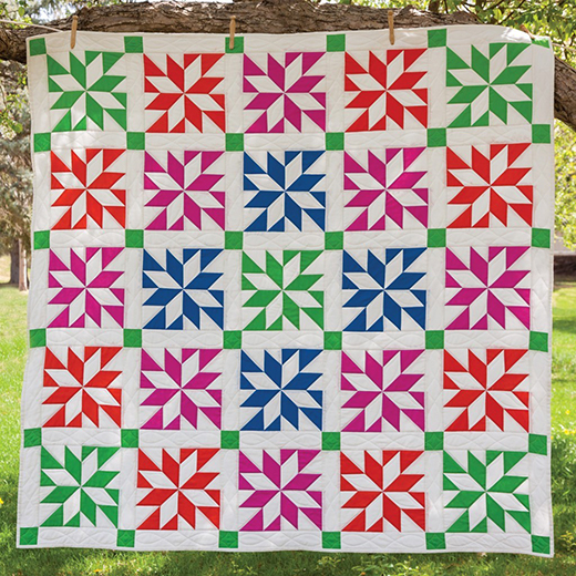 LeMoyne Star Prism Quilt