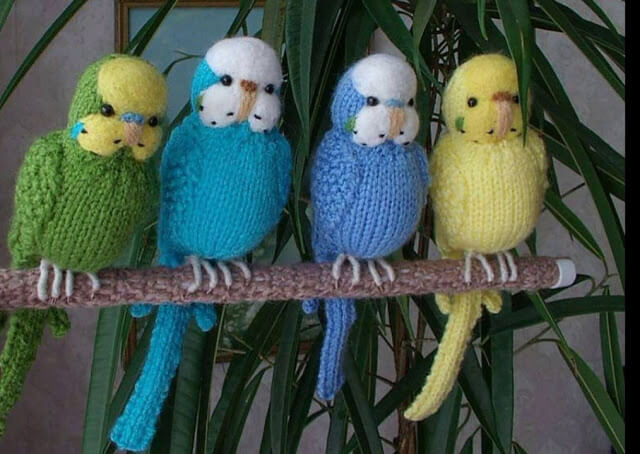 Crochet Parakeet – A Marvelous Idea